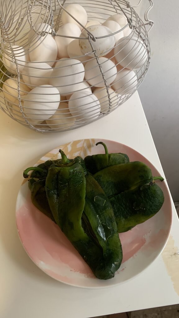 Imagen de portada del veterinario