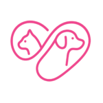 Rodrigo testing Plataforma