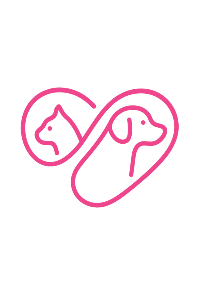 Rodrigo testing Plataforma